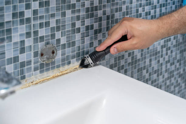 Best Basement Mold Remediation in South San Gabriel, CA