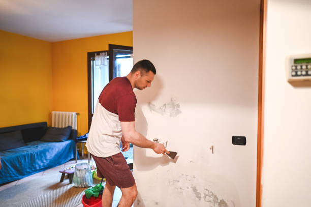 South San Gabriel, CA Mold Remediation Company